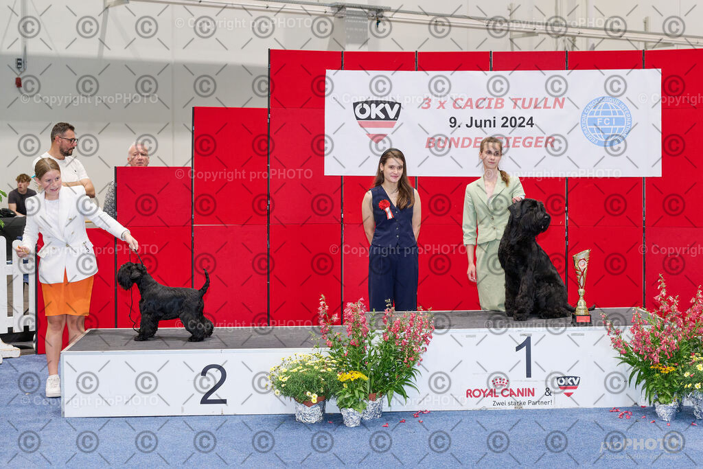 202406_ÖKV-IHA-Tulln24_NZ9_9425 | proPHOTO - Realisiert mit Pictrs.com