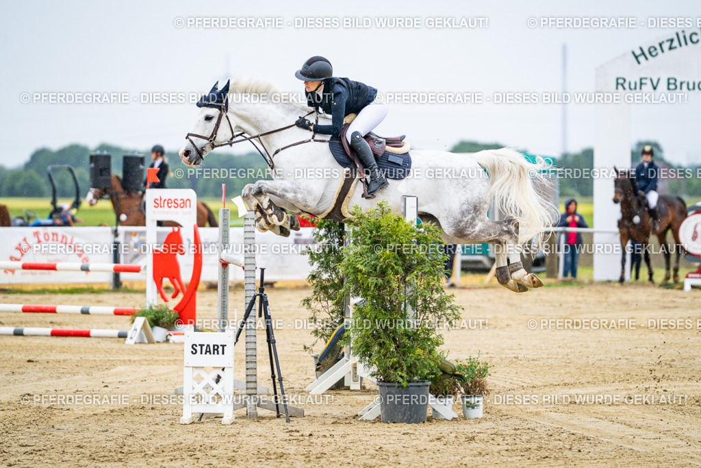 DSC07700 | Pferdegrafie