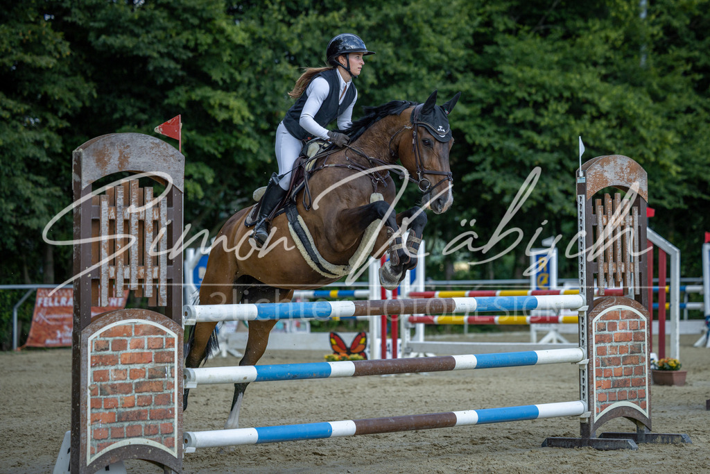 20260704-_3LI2212 | Tierfotografie Pferde, Hunde, Katzen, Haustiere.
Turnierfotografie Reitturniere, Reiten, Springreiten, Dressur in Hanau, dem Main-Kinzig-Kreis und dem Rhein-Main- Gebiet um Frankfurt