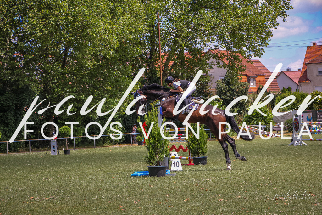 IMG_9520 | Erleben Sie dynamische Sport- und emotionale Tierfotografie in Süddeutschland mit Fotos von Paula. Spezialisiert auf Pferde- und Hundefotografie sowie Sportevents. Kontaktieren Sie mich für einzigartige und ausdrucksstarke Bilder Ihrer besonderen Momente. - Realisiert mit Pictrs.com
