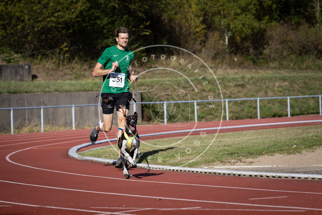 Pfotenfotografie_DV3A9429 | Hundefotografie, Tierfotograf, Pfotenfotografie, Fotoshooting Hund, Hunde Portrait, Hundesport, Hundeportraits, Heideshooting, Hunde, Sportfotograf, Hundefotograf, Turnierhundsport, THS,  - Realisiert mit Pictrs.com