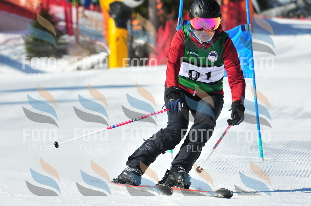 C1732 | holidayphoto