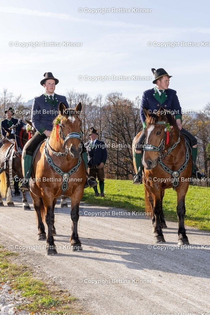 LBT24-1503 | foto-bettina-krinner - Realisiert mit Pictrs.com
