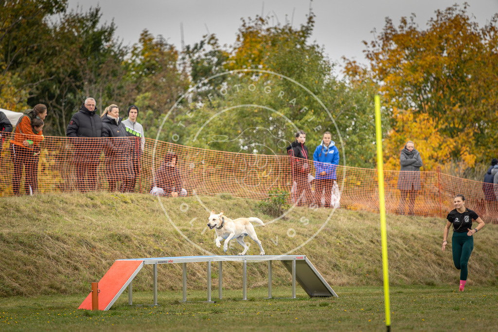 Pfotenfotografie_DV3A4541 | Hundefotografie, Tierfotograf, Pfotenfotografie, Fotoshooting Hund, Hunde Portrait, Hundesport, Hundeportraits, Heideshooting, Hunde, Sportfotograf, Hundefotograf, Turnierhundsport, THS,  - Realisiert mit Pictrs.com