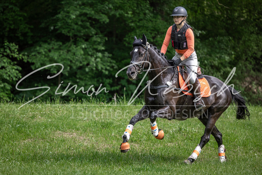 20260523-_3LI9592 | Tierfotografie Pferde, Hunde, Katzen, Haustiere.
Turnierfotografie Reitturniere, Reiten, Springreiten, Dressur in Hanau, dem Main-Kinzig-Kreis und dem Rhein-Main- Gebiet um Frankfurt