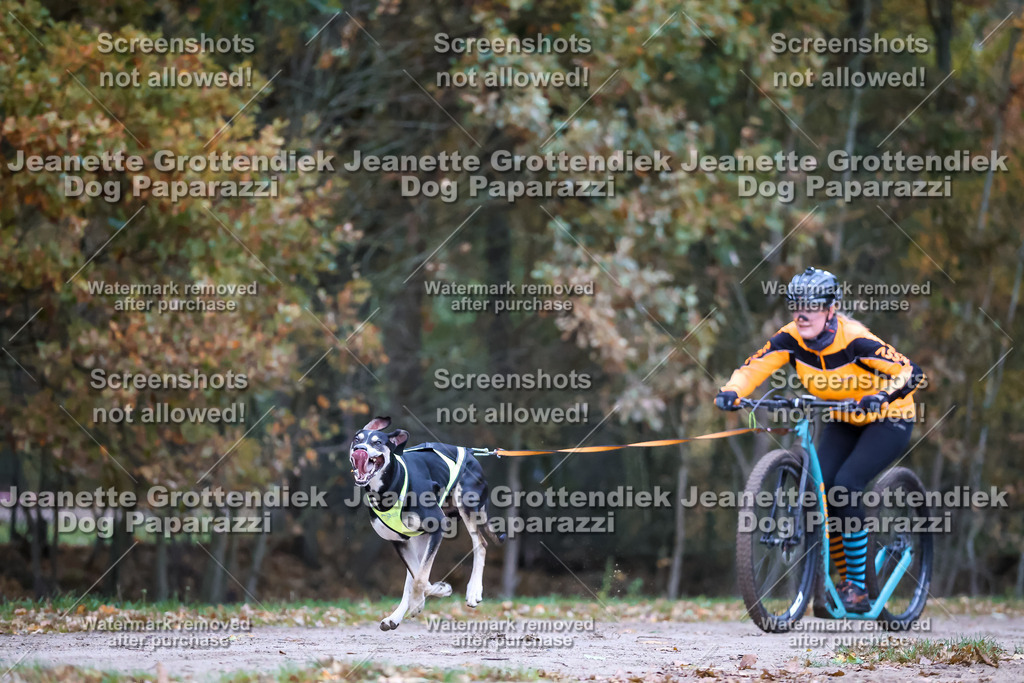 Dog Paparazzi - SD CaniX Championship 2025-20 | Dog Paparazzi Jeanette Grottendiek Fotografie & Videografie - Realisiert mit Pictrs.com