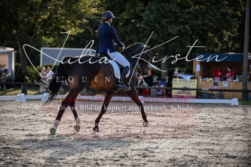 DSC_0637 | Pferde- und Turnierfotografie in Westsachsen. Pferdeportraits, Auftragszeichnungen und intuitive Kunst.