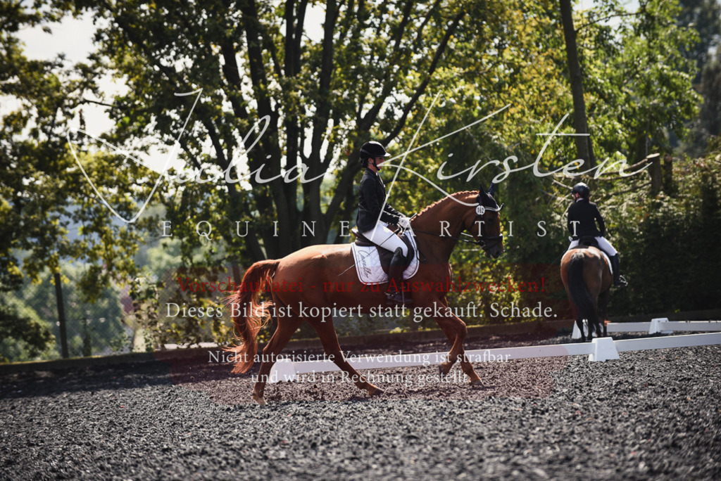 DSC_4058 | Pferde- und Turnierfotografie in Westsachsen. Pferdeportraits, Auftragszeichnungen und intuitive Kunst.