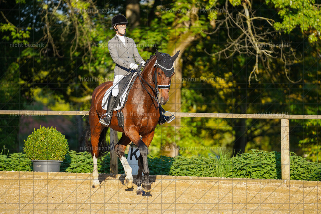 20221007-FAH00394 | Diessen am Ammersee, 2022, Dressur- und Springturnier, Reitsportbilder, Turnierfotografen Bayern, Pferdefotografen, Fotoagentur Herrmann, Turnierbilder