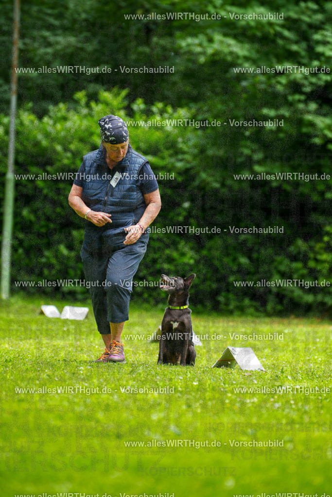 @allesWIRTHgut_Tierfotografie - www.allesWIRTHgut.de - 124314-7R509355 | Professionelle Tierfotografie in Mönchengladbach von Daniel Wirth (allesWIRTHgut). Liebevolle & natürliche Bilder von Hunden & Katzen für unvergessliche Erinnerungen.