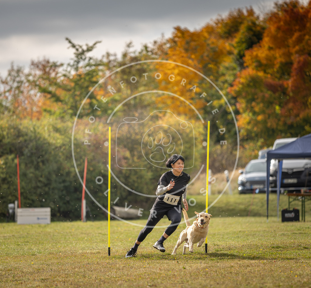 Pfotenfotografie_DV3A7118 | Hundefotografie, Tierfotograf, Pfotenfotografie, Fotoshooting Hund, Hunde Portrait, Hundesport, Hundeportraits, Heideshooting, Hunde, Sportfotograf, Hundefotograf, Turnierhundsport, THS,  - Realisiert mit Pictrs.com