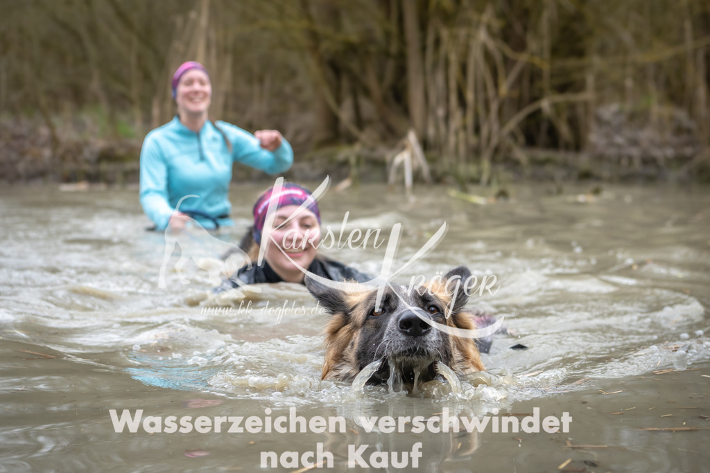 1433_ZZ99624 | kk-dogfotos