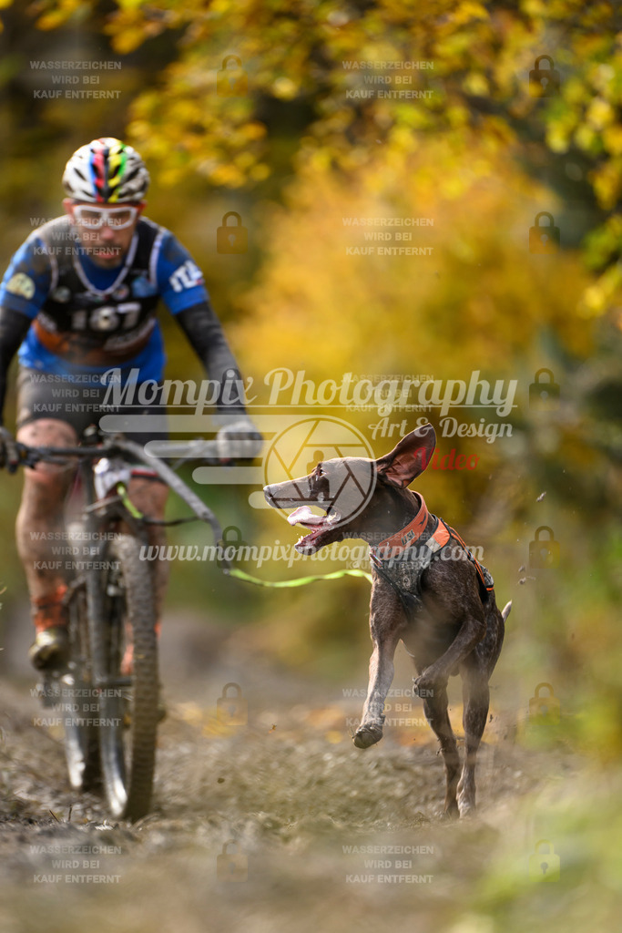 MompixPhotography_ICF_WC_2024_SA_Bike_-280 | PayLife