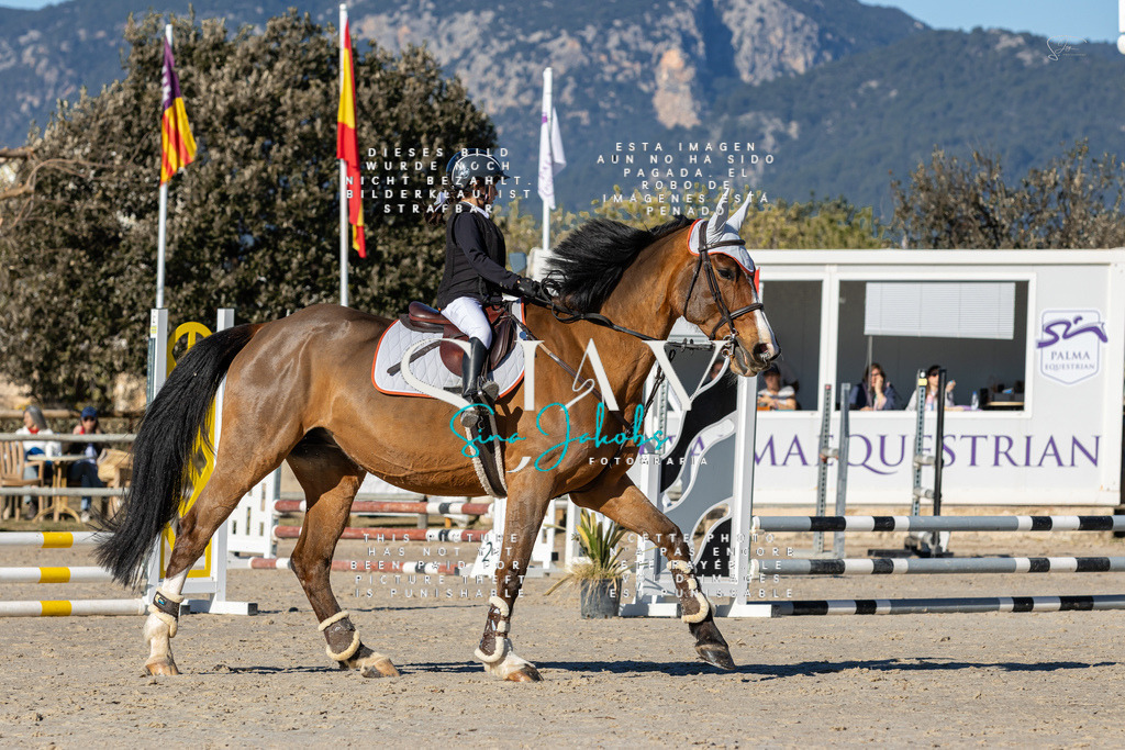 IMG_8112 | s-jay-photography - Realisiert mit Pictrs.com