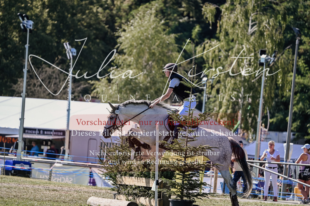 DSC_2875 | Pferde- und Turnierfotografie in Westsachsen. Pferdeportraits, Auftragszeichnungen und intuitive Kunst.