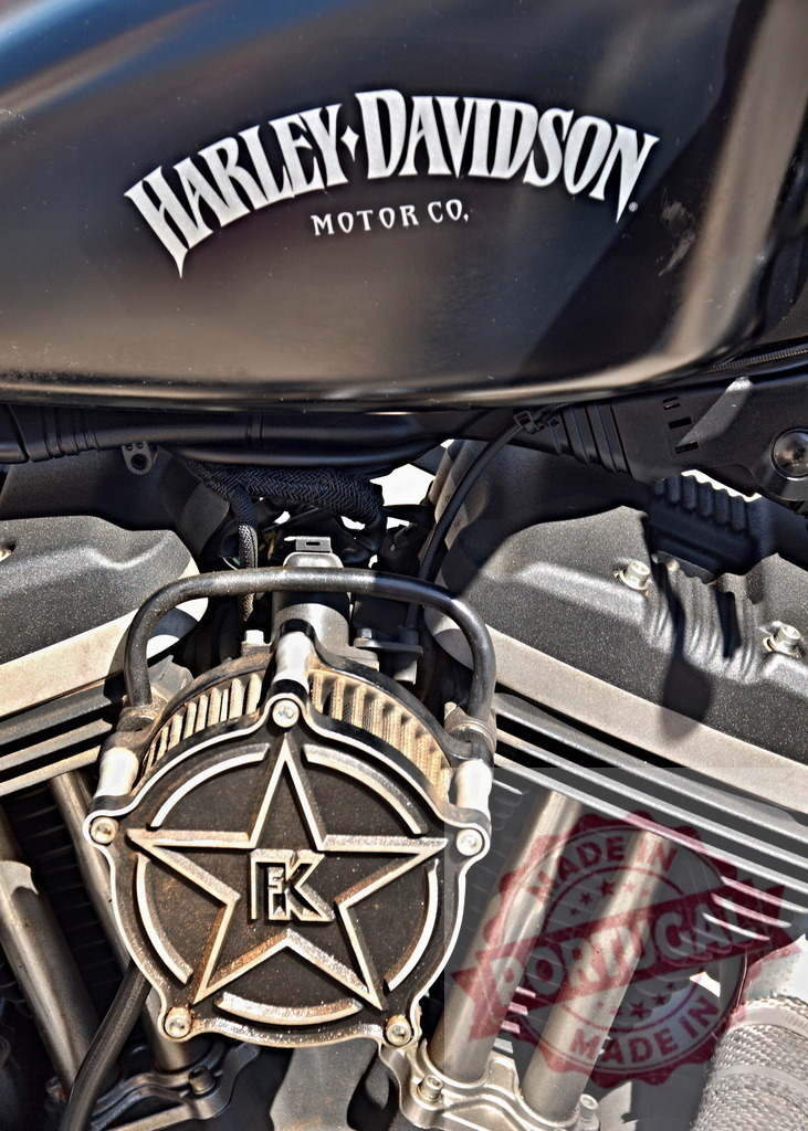 Harley-Davidson motorcycle engine and gas tank detail | Close up view of a Harley-Davidson motorcycle engine and gas tank - Realized with Pictrs.com