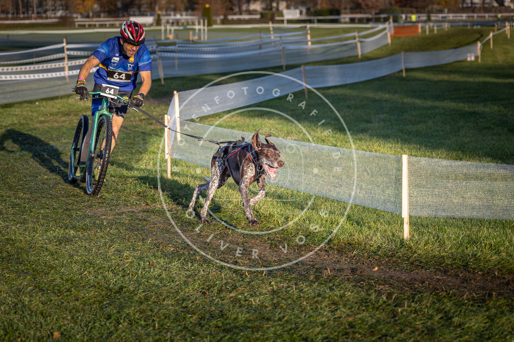 CaniXpix_0L8A3158 | Hundefotografie, Tierfotograf, Pfotenfotografie, Fotoshooting Hund, Hunde Portrait, Hundesport, Hundeportraits, Heideshooting, Hunde, Sportfotograf, Hundefotograf, Turnierhundsport, THS,  - Realisiert mit Pictrs.com