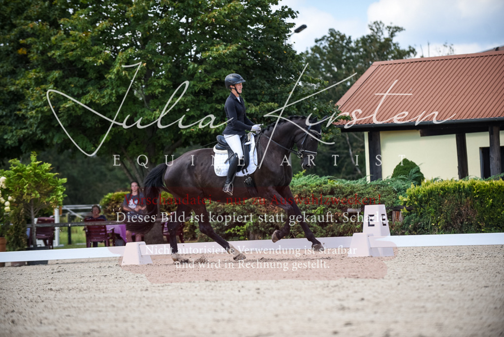 DSC_9063 | Pferde- und Turnierfotografie in Westsachsen. Pferdeportraits, Auftragszeichnungen und intuitive Kunst.