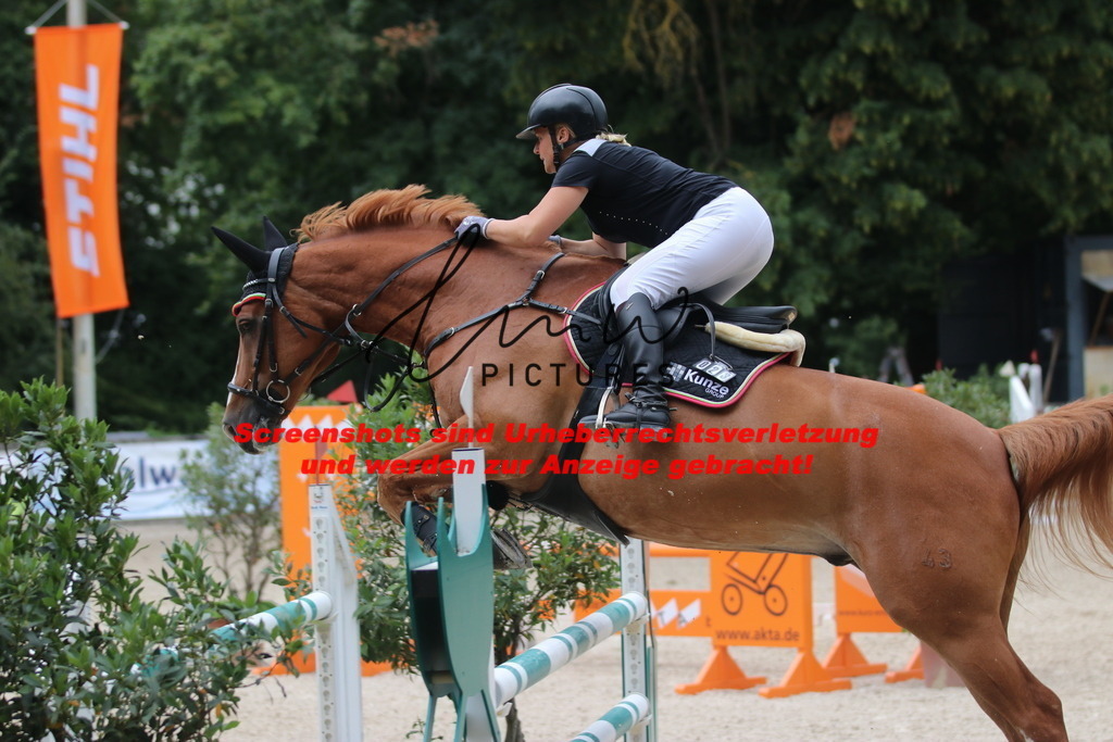 IMG_8054 | lmwpictures - Realisiert mit Pictrs.com