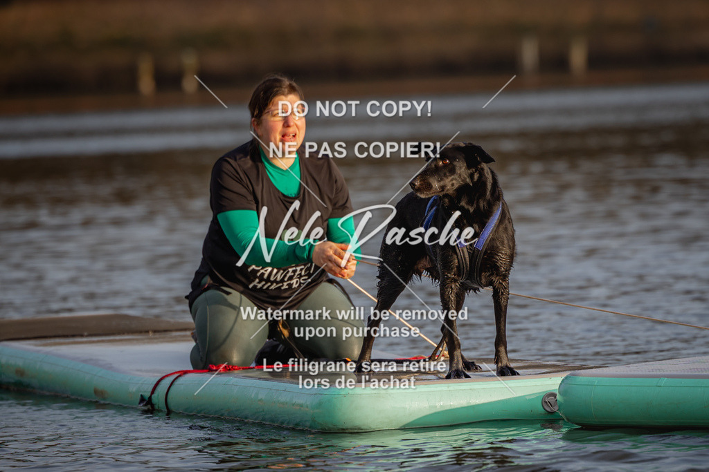 nelerasche_Hulsbeek_Sa1700-1730_278 | nelerasche