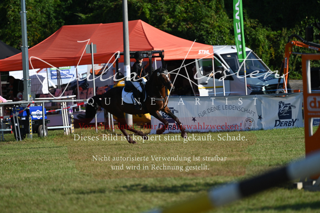 DSC_4751 | Pferde- und Turnierfotografie in Westsachsen. Pferdeportraits, Auftragszeichnungen und intuitive Kunst.