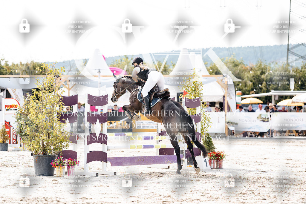 CK905733 | Turnierfotografie Pferdefotografie Trier Rheinland-Pfalz Pferdesport Reitsport Tierfotografie Sportfotografie Pferdevideo Pferdevideografie Equestrianvideography equestrianphotography  - Realisiert mit Pictrs.com