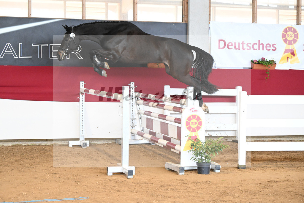 Kat-Nr. 55 Celina v. Chubakko_Ostermann_7251127 | hf-fotografie - Realizzato con Pictrs.com