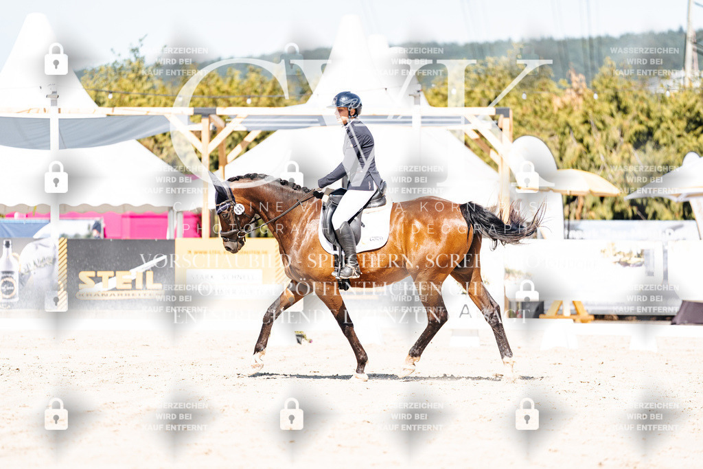 CK909305 | Turnierfotografie Pferdefotografie Trier Rheinland-Pfalz Pferdesport Reitsport Tierfotografie Sportfotografie Pferdevideo Pferdevideografie Equestrianvideography equestrianphotography  - Realisiert mit Pictrs.com