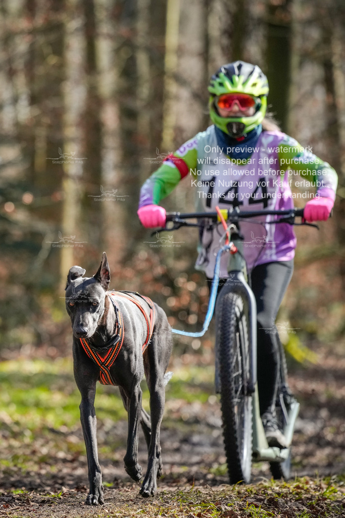 So2_Scooter1-9 | stephaniefillaphotographie - Realisiert mit Pictrs.com