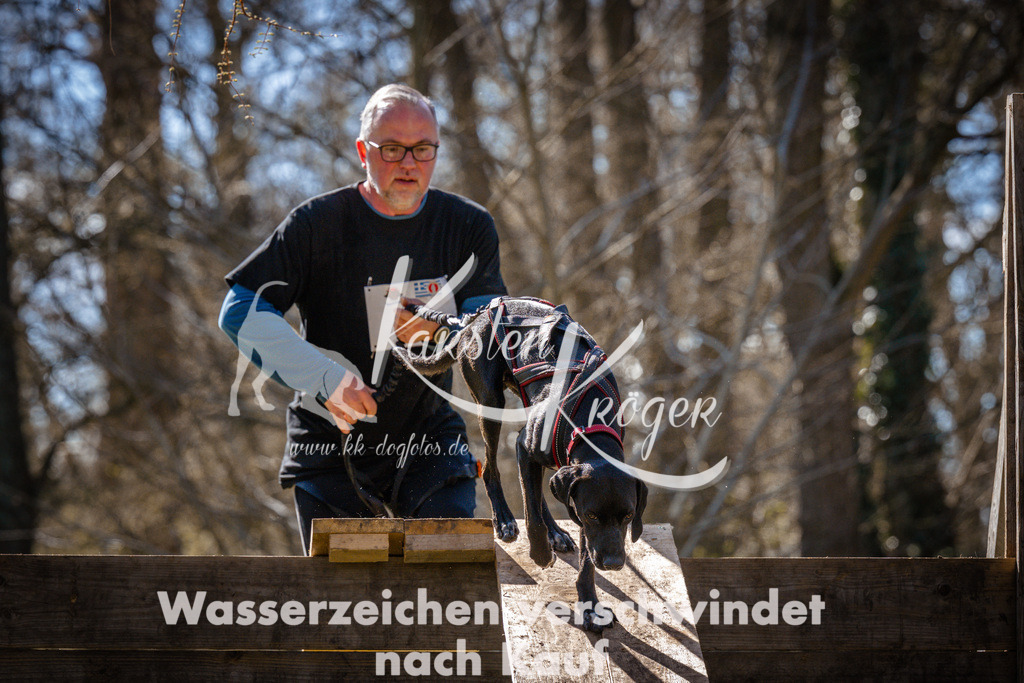 1001_ZZ97041 | kk-dogfotos