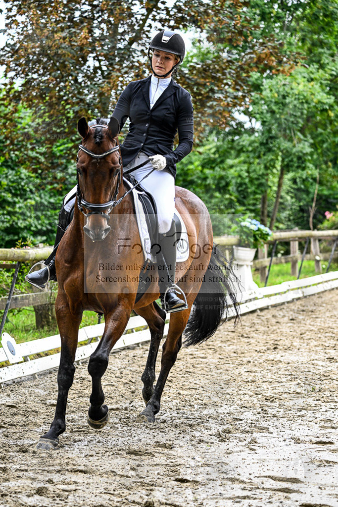 Bissendorfer Reitertage | Entdecke hochwertige Reitturnierfotos von Foto Oger. Professionell, emotional und authentisch – jetzt Lieblingsmomente im Shop bestellen. - Realisiert mit Pictrs.com