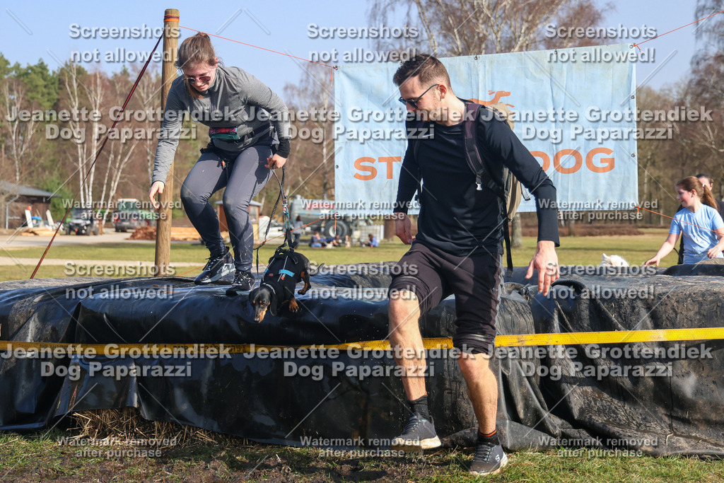 Dog Paparazzi - Strongdog North Mrz26-2862 | Dog Paparazzi Jeanette Grottendiek Fotografie & Videografie - Realisiert mit Pictrs.com