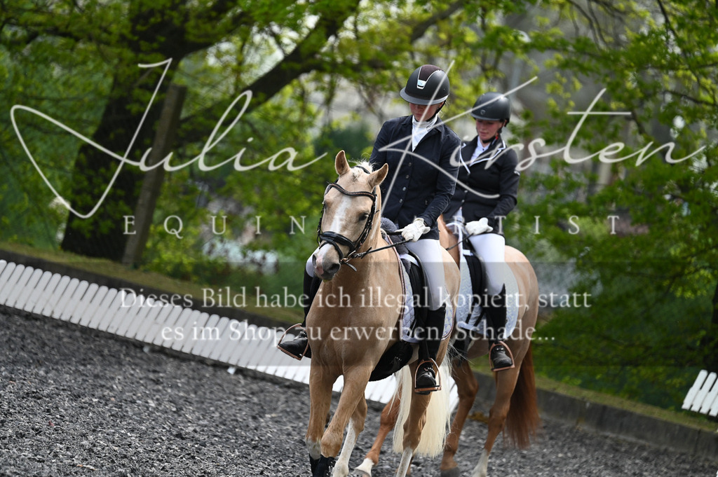 20230512_JK-Röhrsdorf-01-137 | Pferde- und Turnierfotografie in Westsachsen. Pferdeportraits, Auftragszeichnungen und intuitive Kunst.