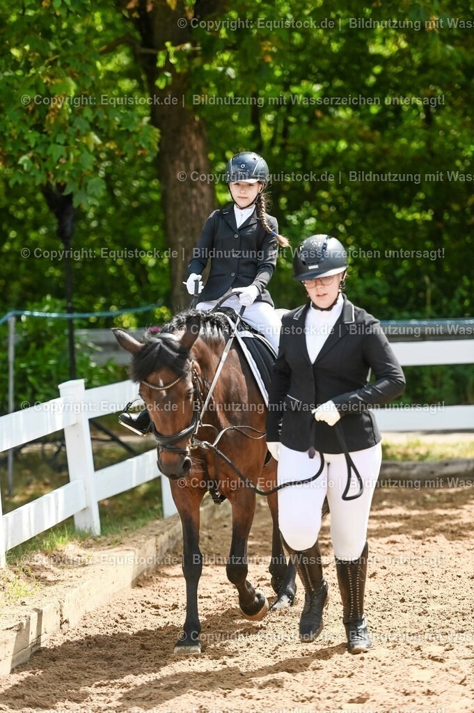 20230716_11_Führzügel-WB_0024 | equistock