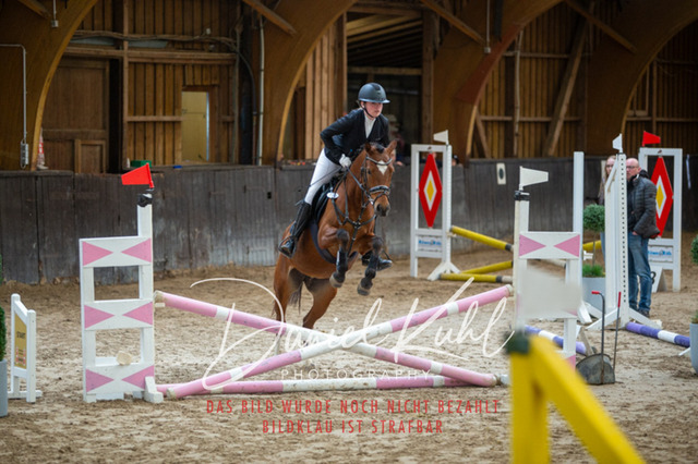 IMG_1764 | Turniersportfotografie; Pferdefotografie; Dressurfotografie