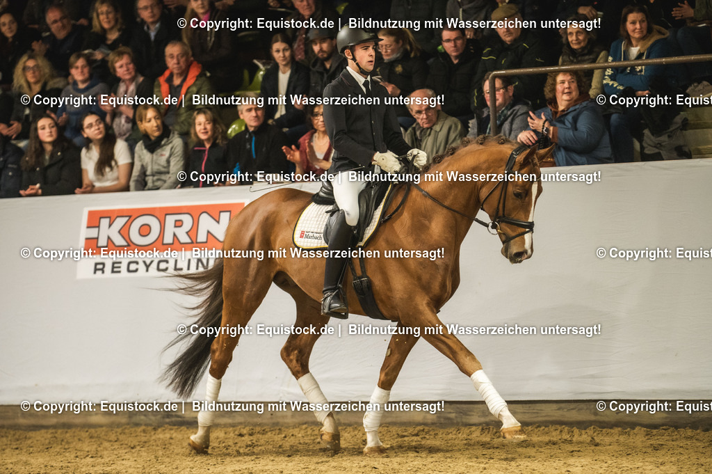 20240302_Hengstvorstellung_Marbach_TOMsPiC_0371 | equistock