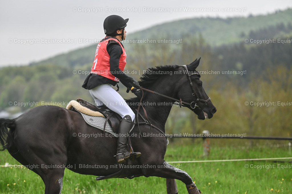 20230513_CCI2_Section1_0233 | equistock