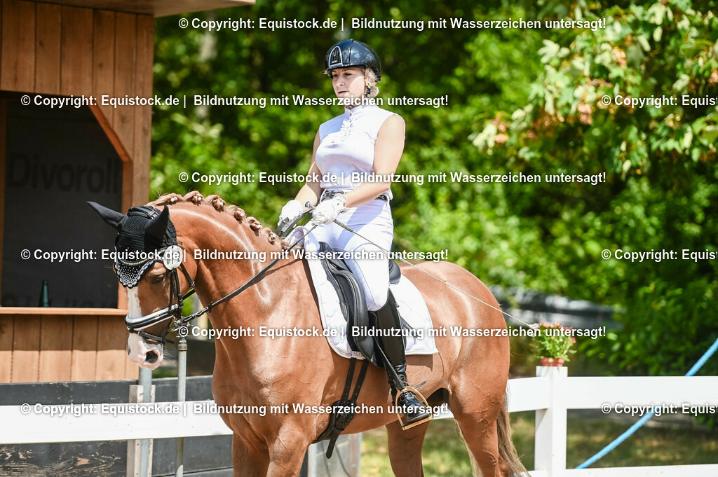 20230716_03_Dressurprfg. Kl.L - Tr._0503 | equistock