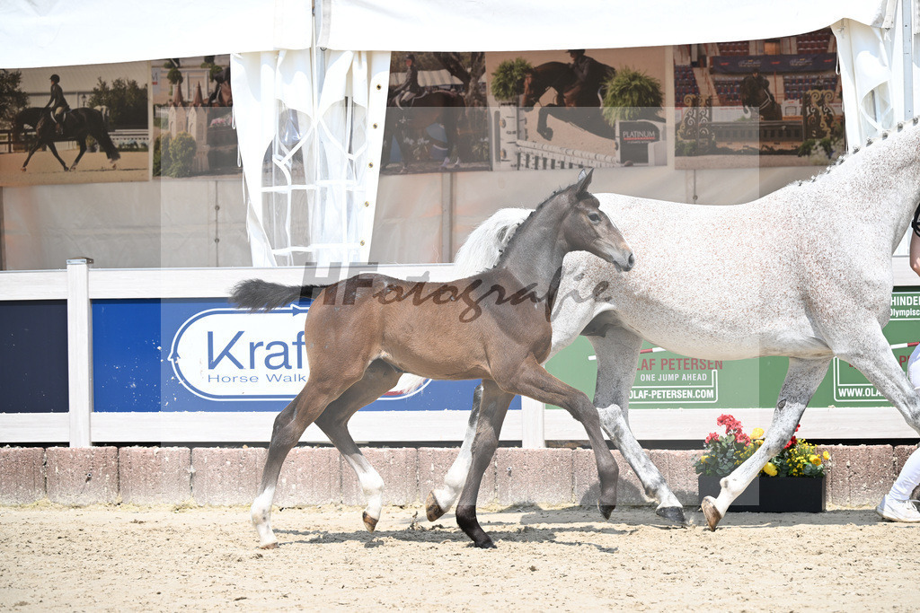 Cornets Balou x Casall_Gross_12250710 | hf-fotografie - Realizzato con Pictrs.com