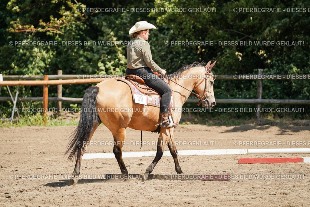 DSC06674 | Pferdegrafie