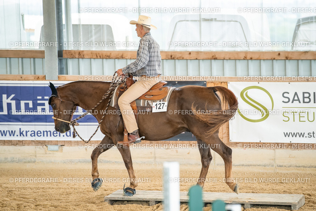 DSC06999 | Pferdegrafie