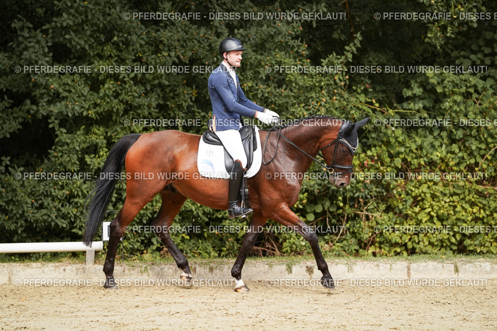 DSC09055 | Pferdegrafie