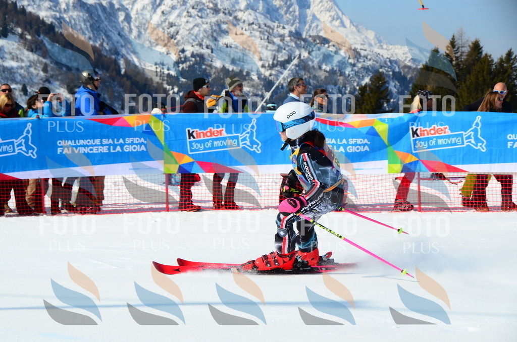 DSC_0574 | holidayphoto