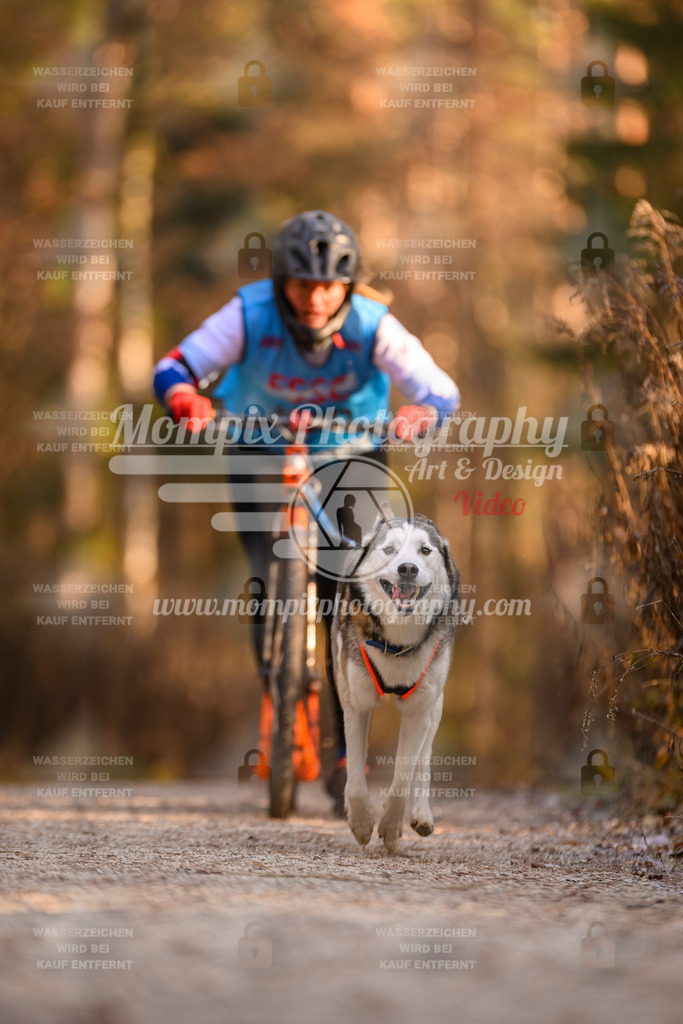 MompixPhotography_DM_AKDM_SO_2025_Scooter-227 | PayLife