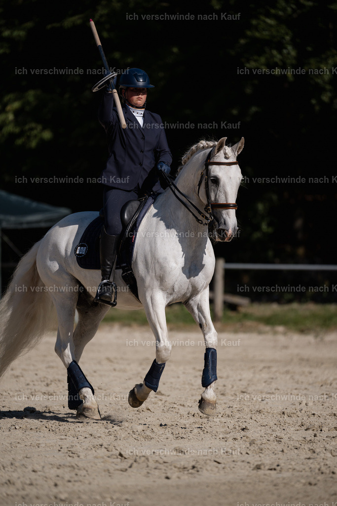 WM_ST_142_stoibphotography__SO12198 | working equitationturnier fotograf videograf stoibphotography marixx film working equitation deutschland reitsport turnierfotografie eventfotografie equestrian events