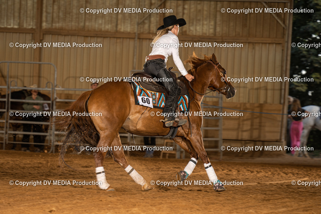 NID03964 | dv-media-shop - Realisiert mit Pictrs.com