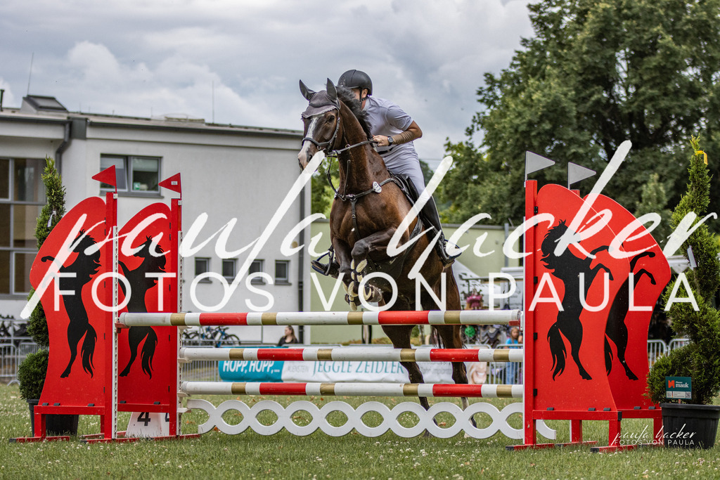 IMG_7483 | Erleben Sie dynamische Sport- und emotionale Tierfotografie in Süddeutschland mit Fotos von Paula. Spezialisiert auf Pferde- und Hundefotografie sowie Sportevents. Kontaktieren Sie mich für einzigartige und ausdrucksstarke Bilder Ihrer besonderen Momente. - Realisiert mit Pictrs.com