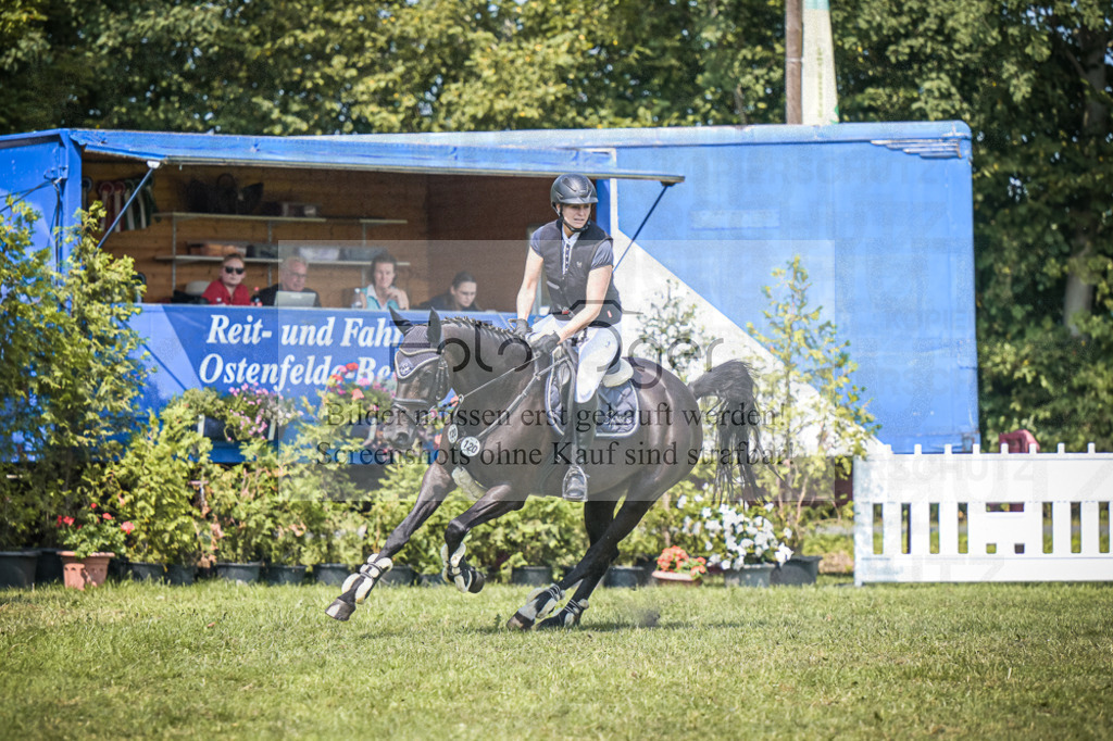 DOS_4841 | Entdecke hochwertige Reitturnierfotos von Foto Oger. Professionell, emotional und authentisch – jetzt Lieblingsmomente im Shop bestellen.Deutschlandweite Turnierfotografie. - Realisiert mit Pictrs.com