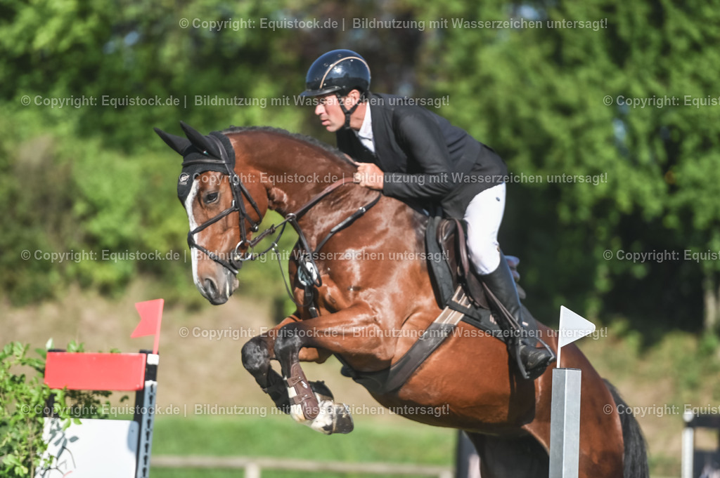 20230908_14-15_Springpferde-A_0091 | equistock