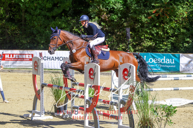DKP43155 | Deine Turnierfotos vom Reitturnier online kaufen: Dressur, Springen & Siegerehrung. Professionelle Pferdefotografie aus dem Rheinland – als Download & Print.Alternative: Turnierfotograf für den Pferdesport: Finde deine Fotos von Dressur- und Springturnier